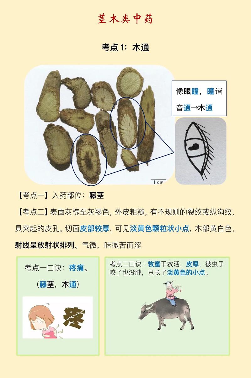 悉昌印度代购希爱力是真的吗？避坑指南与正品鉴别全攻略